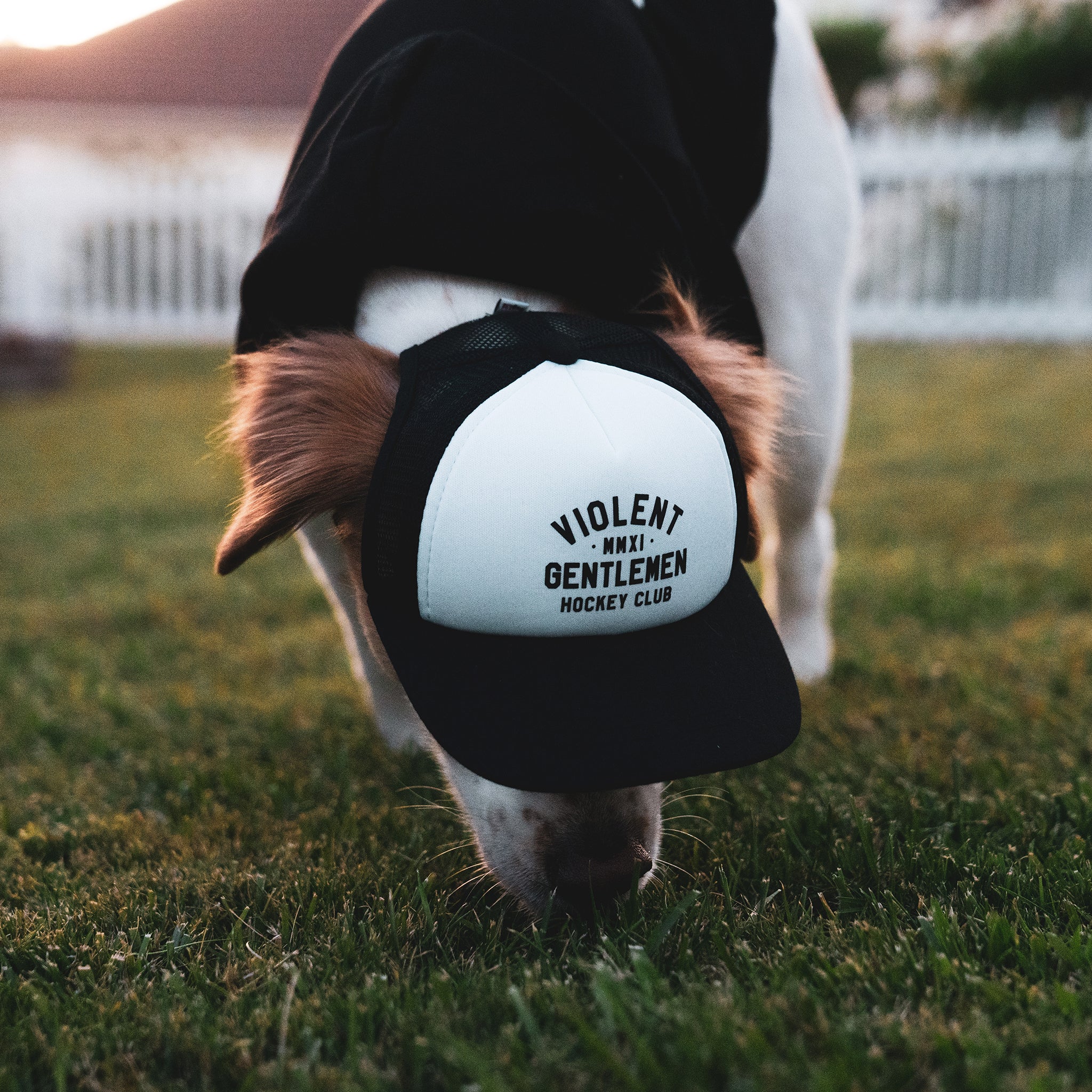 Loyalty Pet Foam Trucker Hat - Adjustable Baseball Cap for Dogs - Comfortable & Breathable Dog Hat for Outdoor Adventures, Hiking, and Photo Shoots