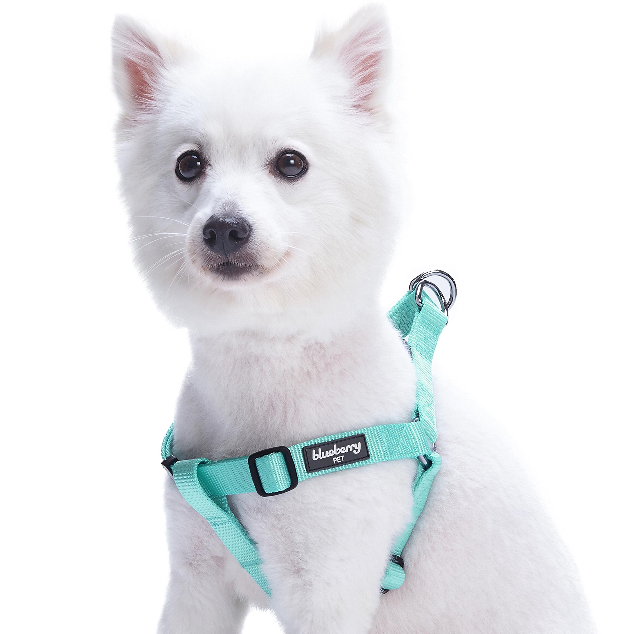 Blueberry Pet Essentials Adjustable No-Pull Dog Harness for Small Dogs | Classic Solid Nylon Easy Walk & Step-In Harness | Mint Blue Color | Perfect for Daily Walks, Training & Outdoor Adventures