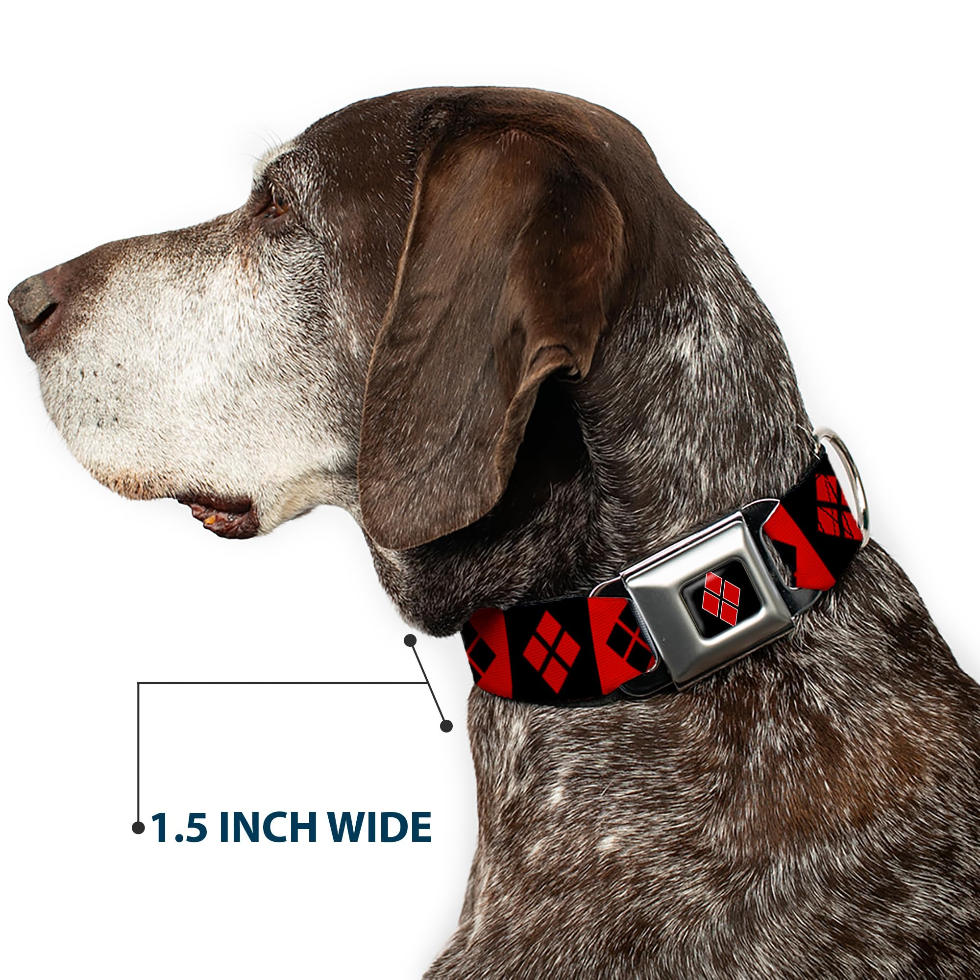 Buckle-Down Harley Quinn Diamond Blocks Dog Collar - 1.5