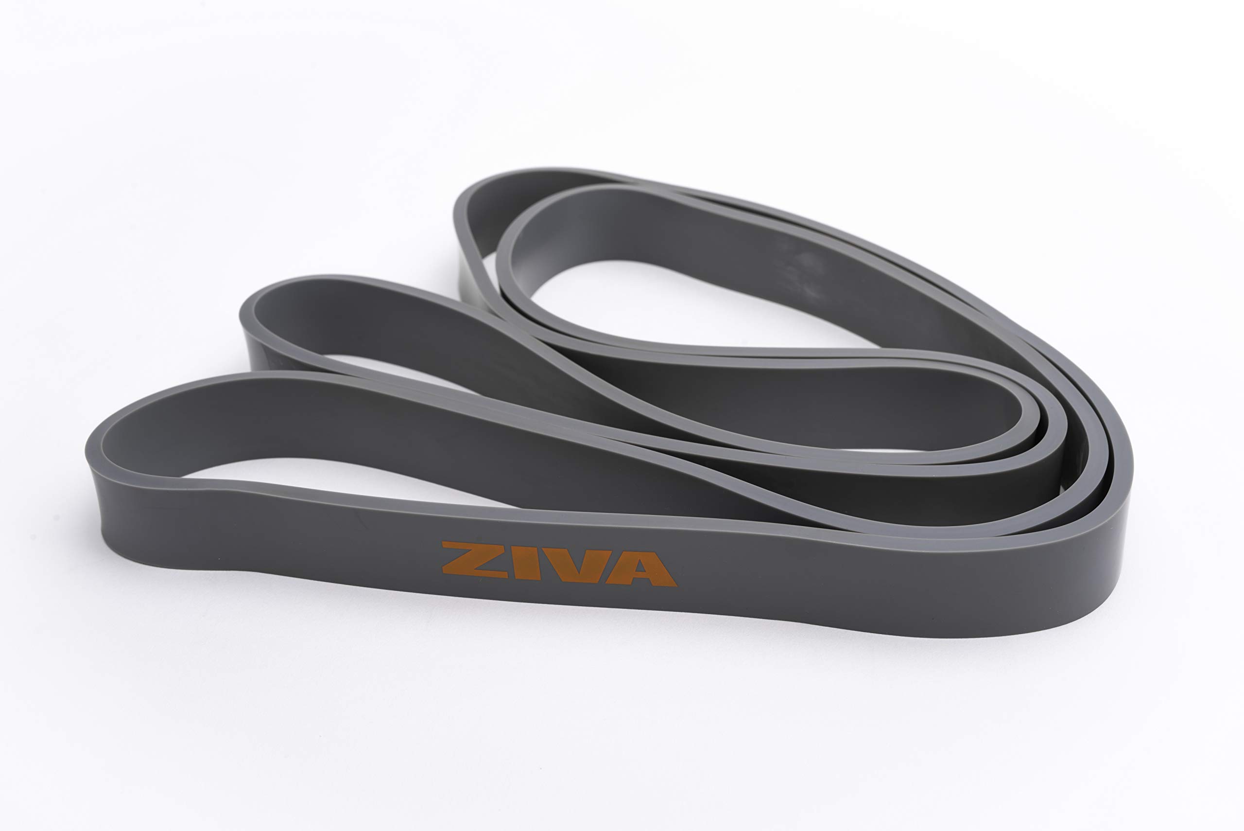 Ziva PRO Portable Resistance Band - Pull Up Assistance Exercise Bands for Home Fitness, Stretching, Strength Training & Physical Therapy – Medium Resistance (22-44 lbs), 41