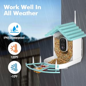 Smart Bird Feeder with HD Camera & Solar Power - Wireless Live Streaming, Weatherproof Design - Perfect Gift for Bird Lovers (Backyard, Garden, Patio Wildlife Watching)