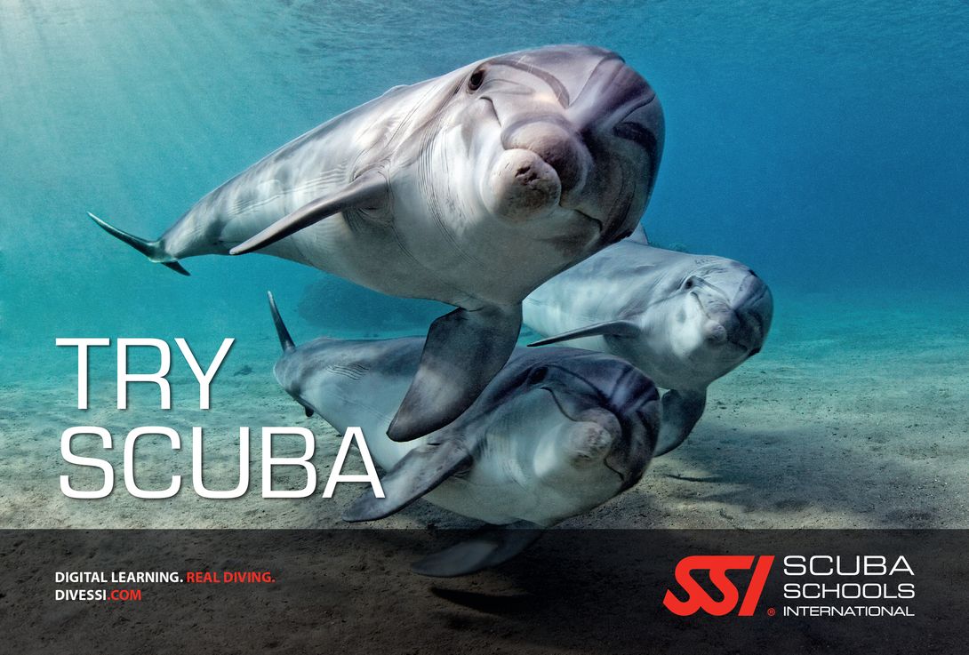SSI Try Scuba Diving Kit - Complete Beginner Scuba Gear Set for First-Time Divers | Perfect for Ocean Exploration, Pool Training & Underwater Adventures