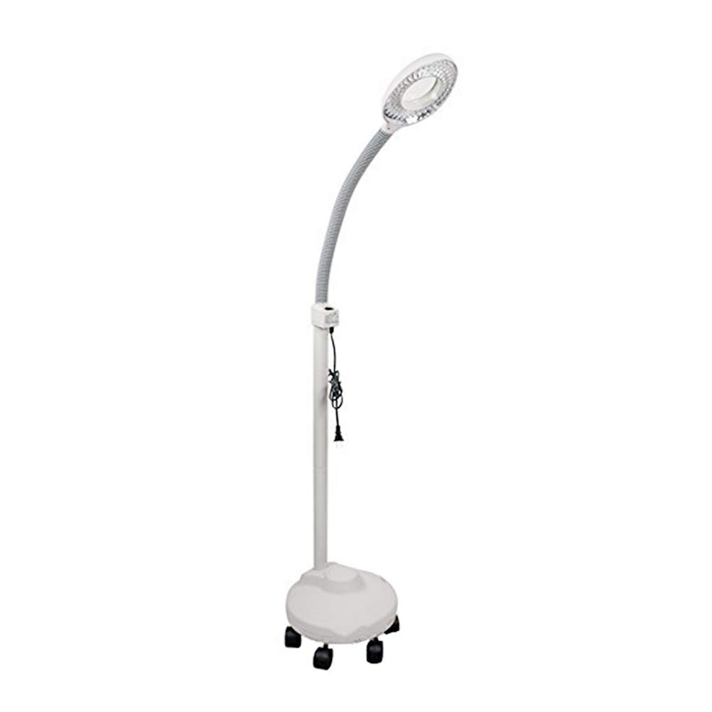 3X/5X Magnifying LED Beauty Lamp with Cold Light, Round Water Injection Base - Perfect for Tattoo, Nail Art, Makeup & Skincare (Floor to Ceiling Adjustable)