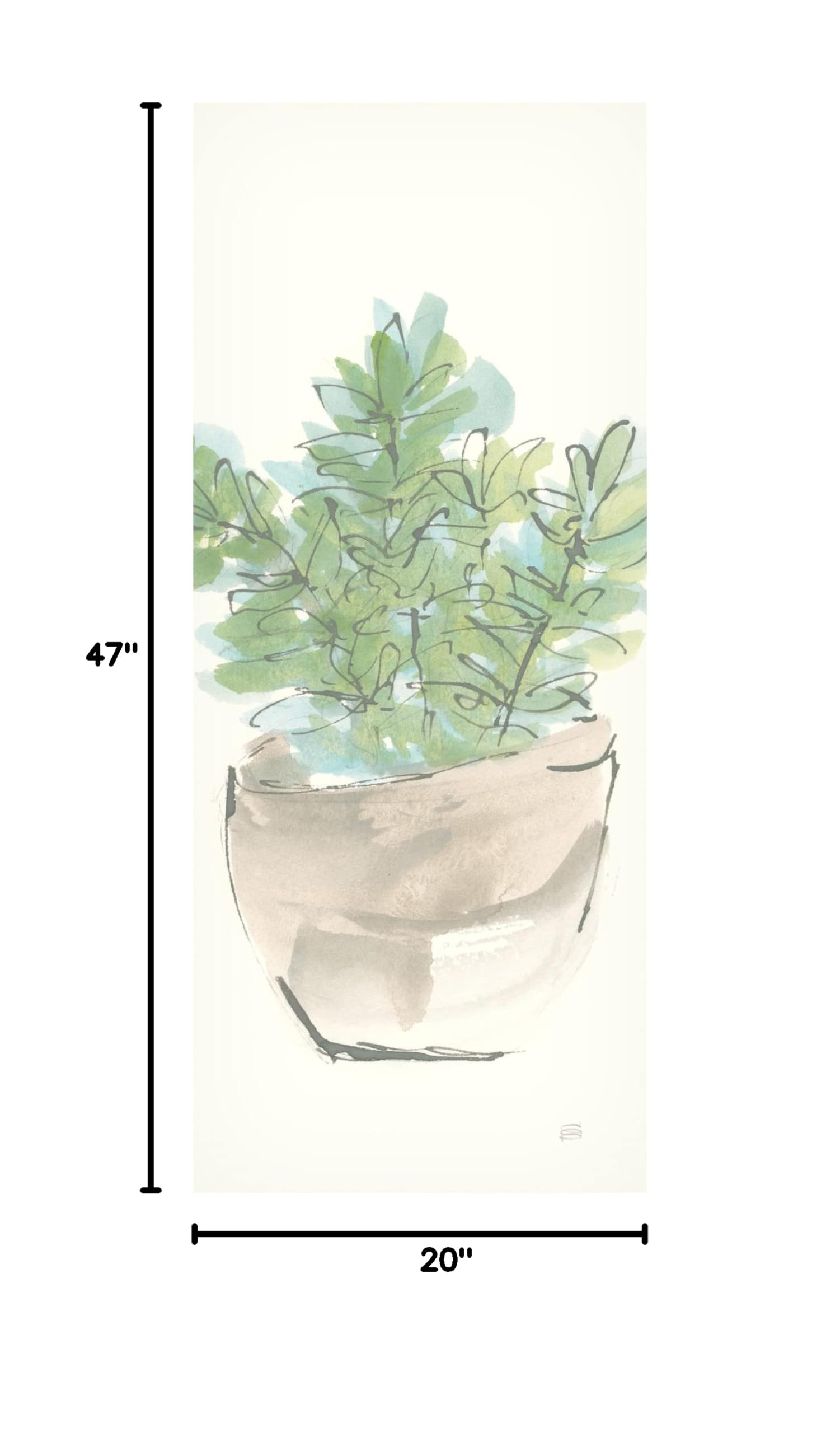 Chris Paschke Succulent II Crop Canvas Wall Art - Modern Botanical Print for Living Room, Bedroom & Office Decor | Trademark Fine Art Collection