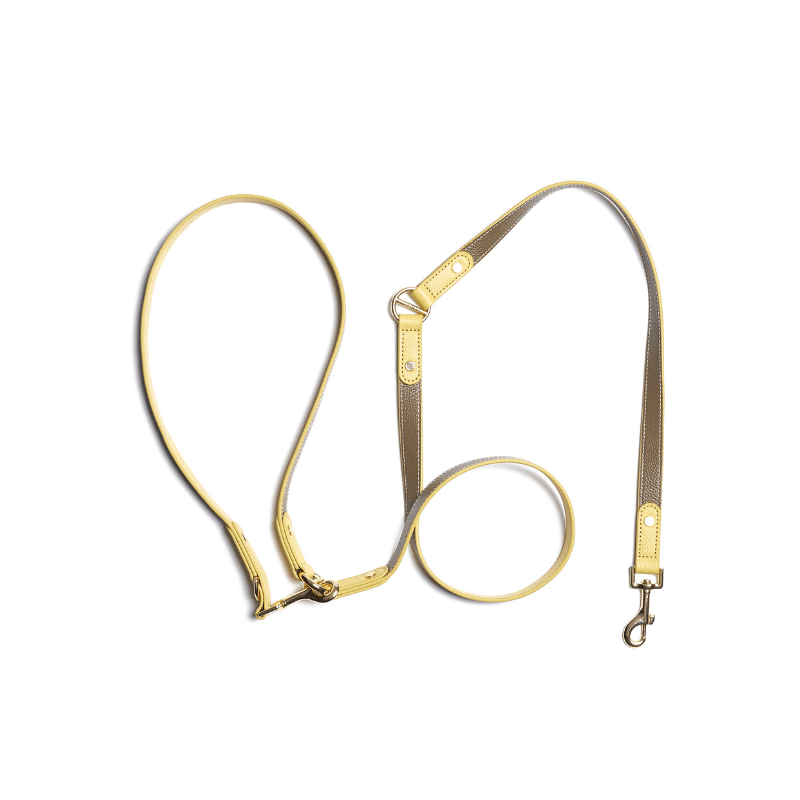 Hands Free Dog Leash - Adjustable Waist Leash for Walking, Running & Hiking with Your Dog | Comfortable & Secure Pet Training Lead for Active Owners
