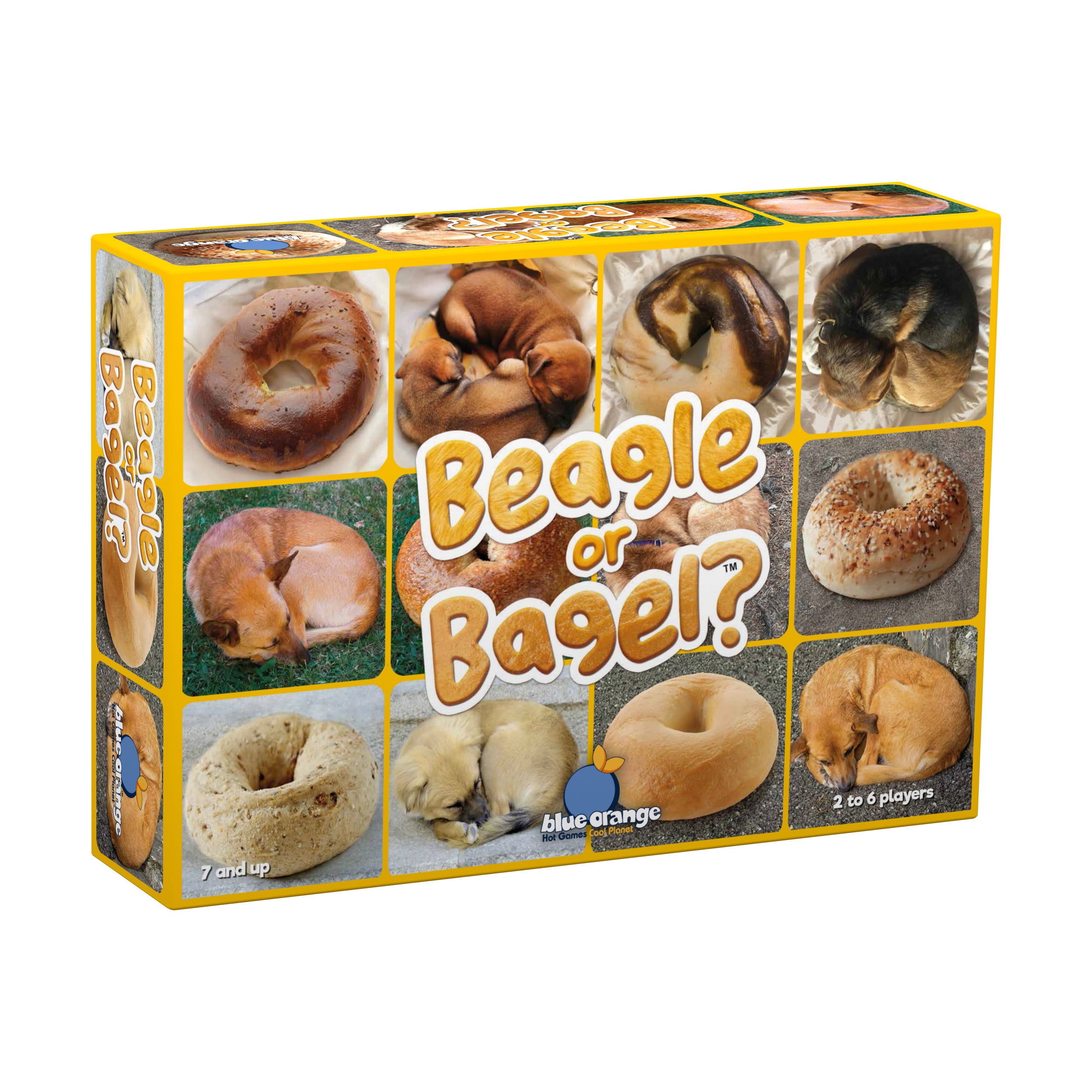 Beagle or Bagel? Hilarious Family Card Game for Parties & Game Nights - Fun Guessing Game for Kids & Adults