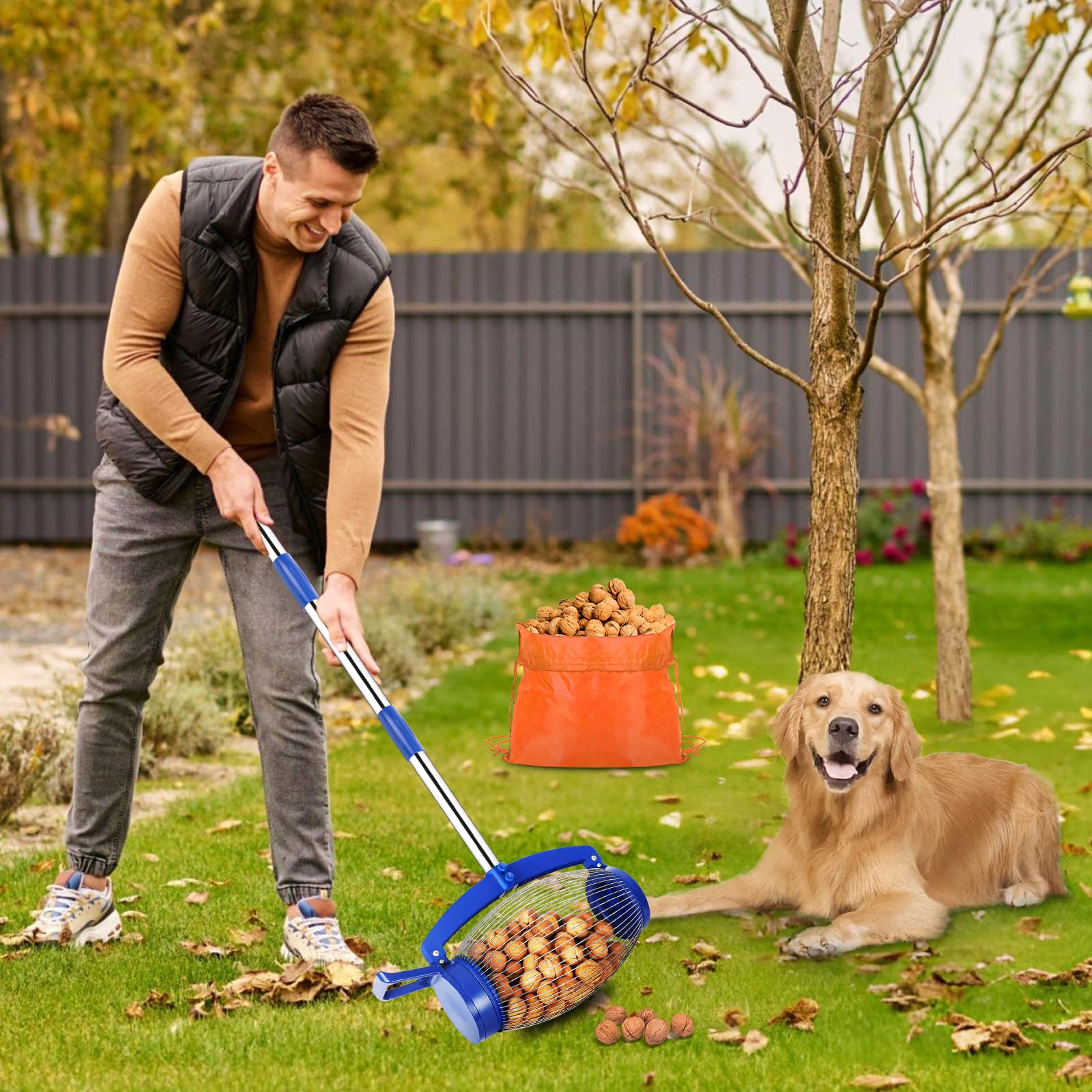 Large Nut Gatherer Roller - Walnut & Pinecone Picker Upper Tool for Gardens (1'' to 2.5'' Size) | Collects Sweet Gumballs, Golf & Tennis Balls | Perfect for Yard Cleanup, Harvesting Nuts & Outdoor Activities