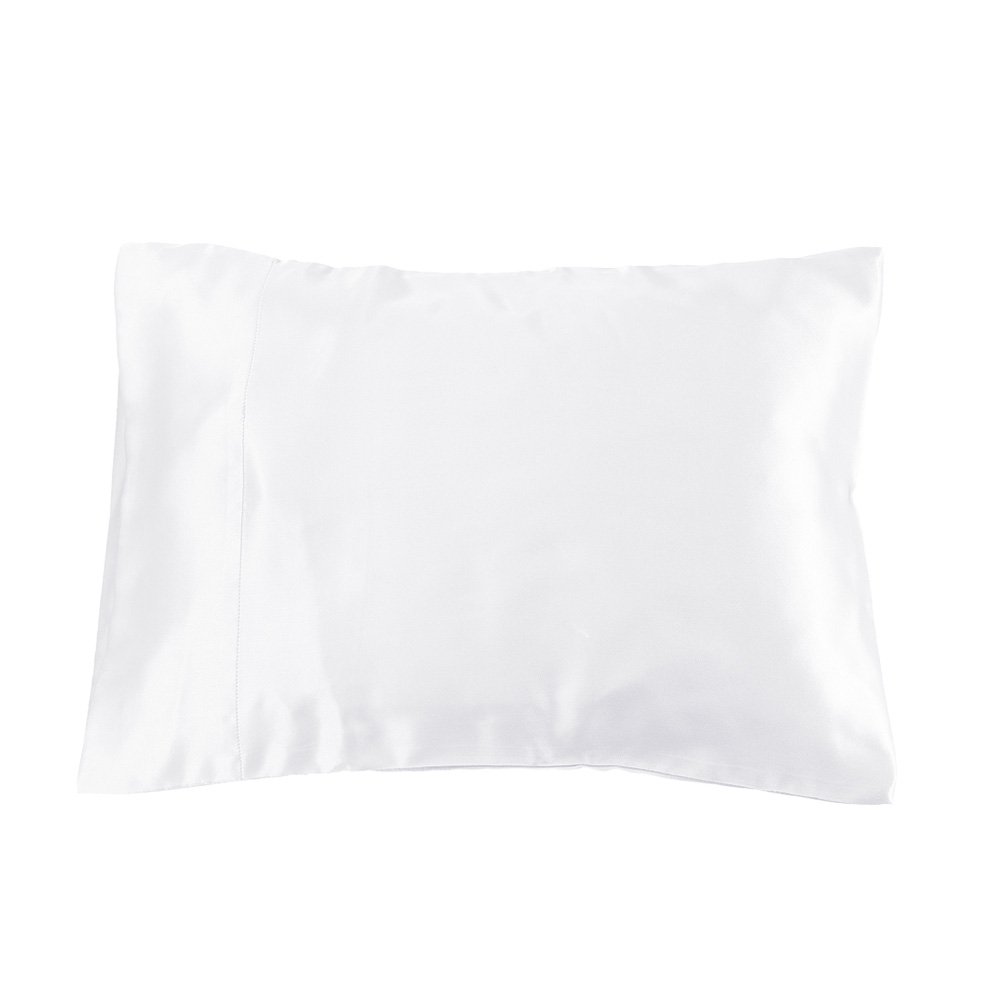 Lilysilk 100% Pure Mulberry Silk Pillowcase for Travel - 13