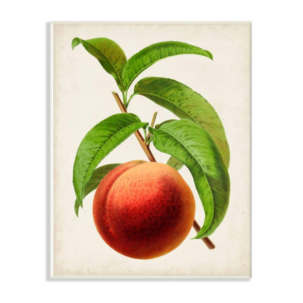 Stupell Industries Vintage Peach Fruit Painting - Multi-Color Wall Art Sign & Plaque for Kitchen, Dining Room, or Farmhouse Decor