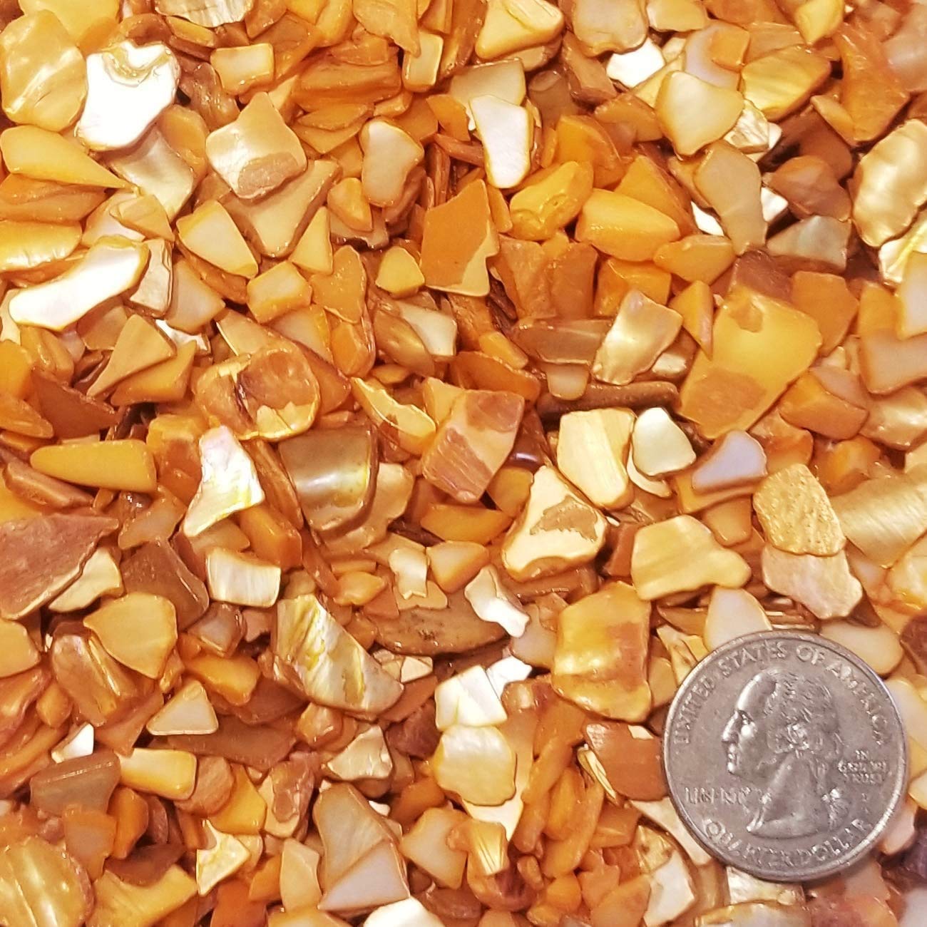 Natural Crushed Shells for Beach Weddings, Vase Filler, Home Decor & DIY Crafts - 32oz (2lb) Orange Pearl - Perfect for Coastal Decor, Centerpieces, and Beach-Themed Parties