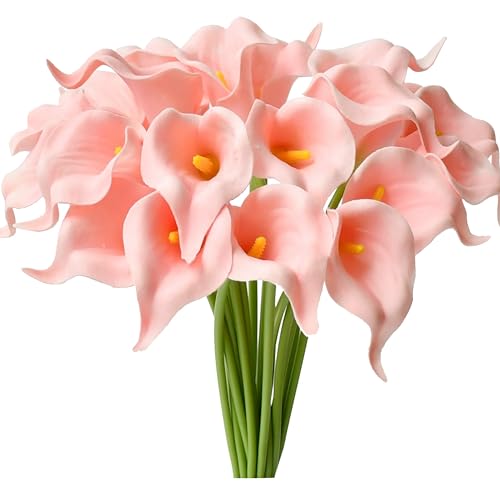 Bright Pink