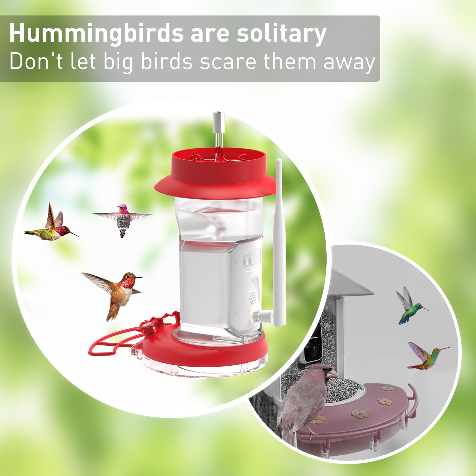 Soliom Humbirdy - Original 2K Hummingbird Feeder Camera with Leak-Proof Design, Ant Moat & AI Bird Identification | 3 Feeding Ports, 16oz Capacity | Perfect for Backyard Birdwatching, Nature Lovers & Family Gifts