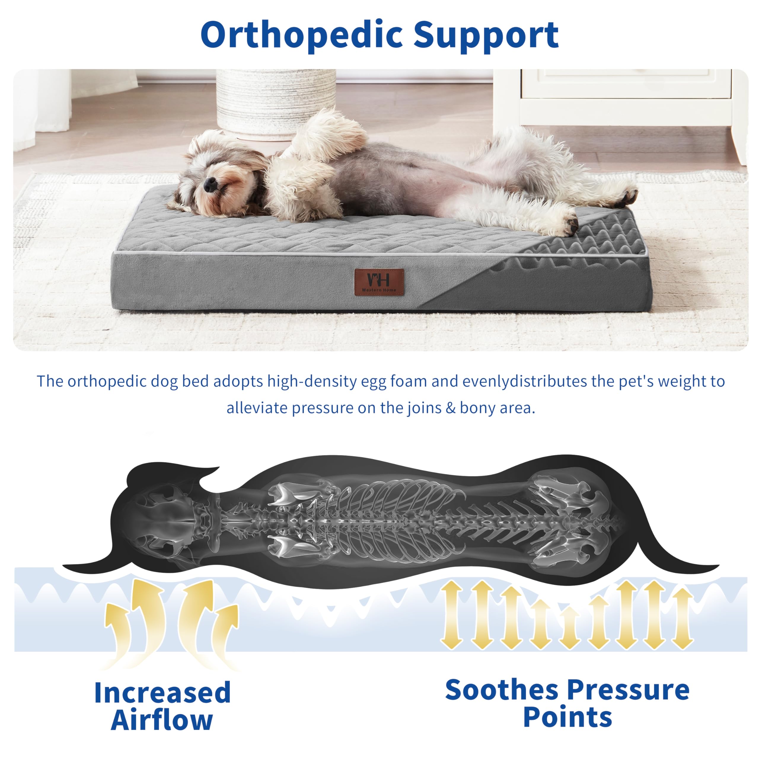 Orthopedic Dog Bed for Large Dogs - XXL XL Medium Size, Removable Washable Cover, Velvet Plush Pet Bed with Anti-Slip Bottom, 36 Inch Grey Kennel Pad - Perfect for Crates, Floors & Senior Dog Joint Support