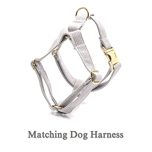 Personalized Dog Collars with Name Engraved - Custom Stripe Velvet Collar with Gold Metal Buckle for Small Medium Large Dogs - Matching Leash & Bow Tie Set - Perfect for Daily Walks, Training & Gifts