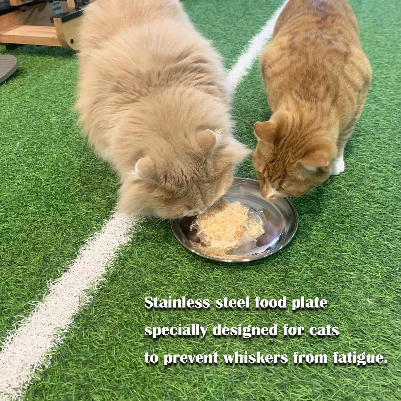 Premium Stainless Steel Cat Bowls for Wet & Dry Food - 2 Pack Medium Shallow Dishes with Non-Slip Mats, Whisker Fatigue Relief - Perfect for Kittens & Adult Cats at Home or Travel