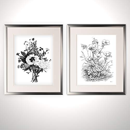 Botanical Black and White II