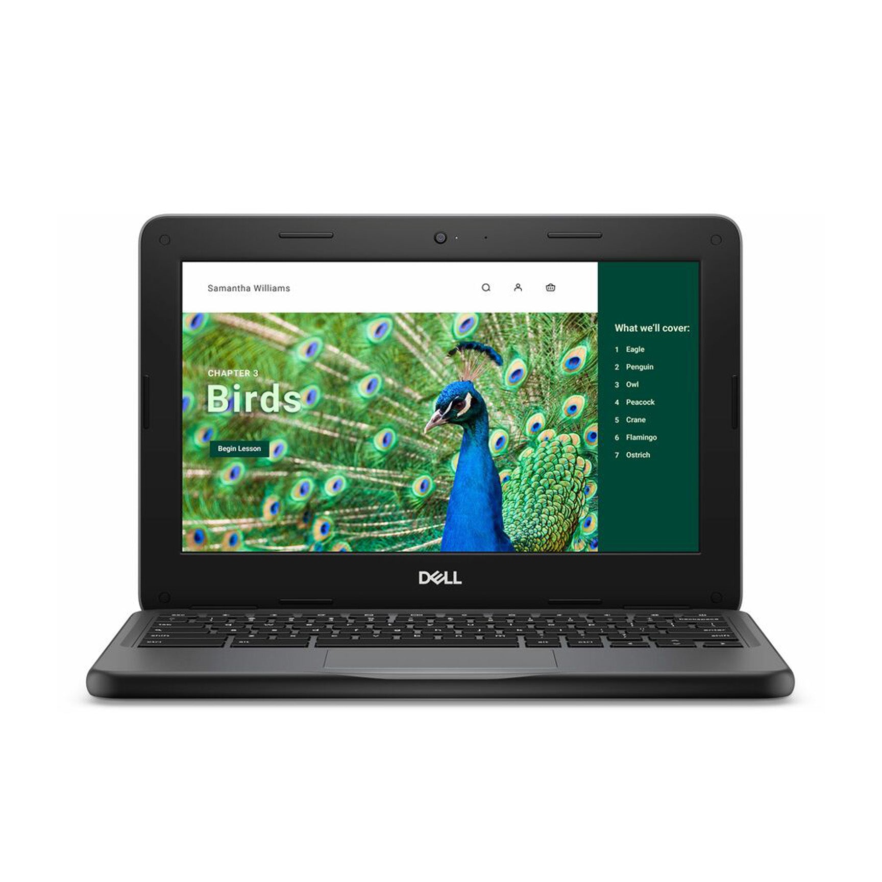 Dell 3120 11.6