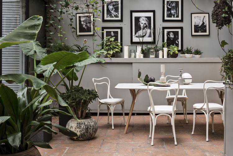 GTV Adolf Loos Cafe Museum Bentwood Side Chair with Upholstered Seat - Mid-Century Modern Dining Chair for Home, Cafe & Office Decor
