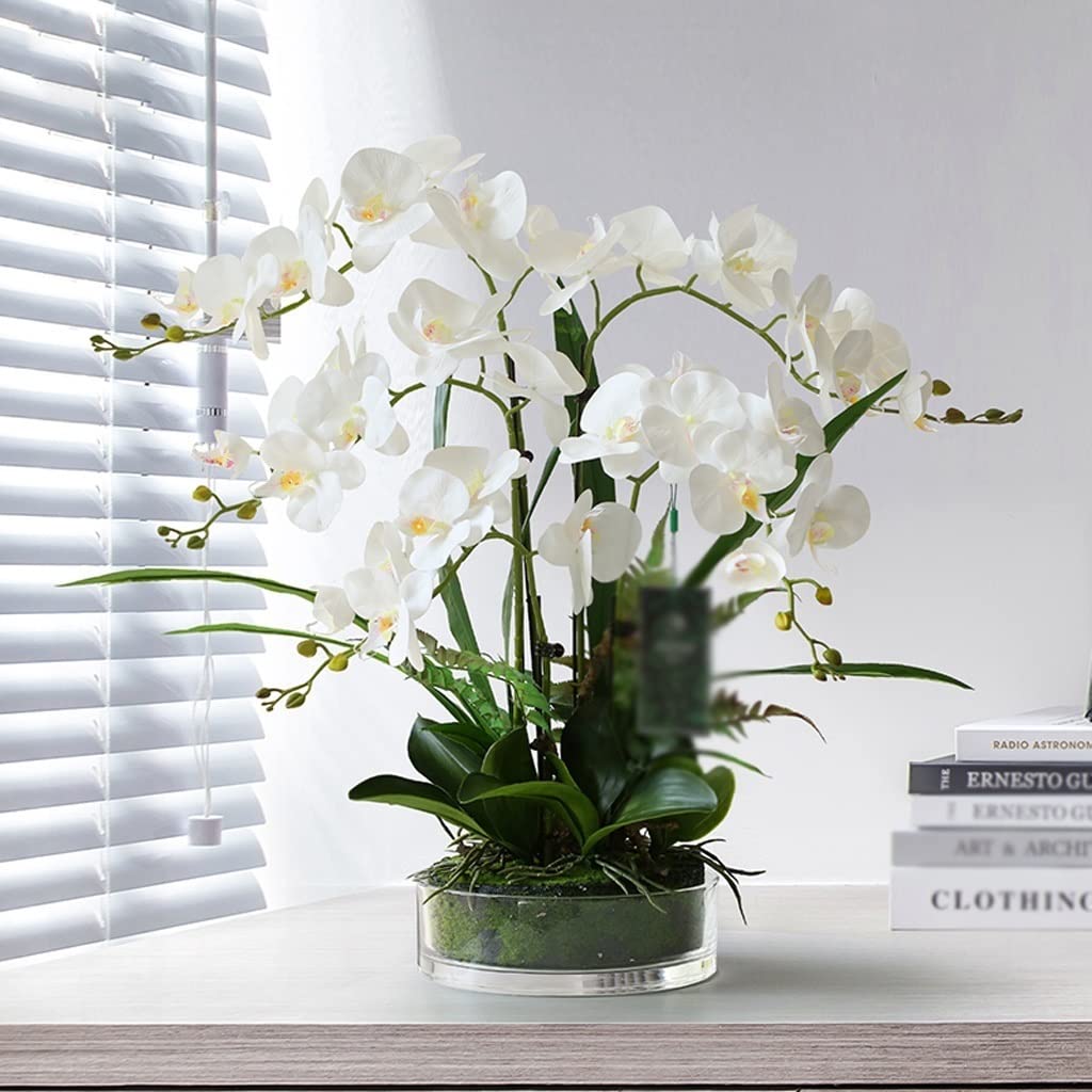 Large Artificial Silk Moth Orchid Flowers in Clear Glass Vase - Real Touch Phalaenopsis Arrangement (White) - Perfect for Home Decor, Wedding Centerpieces & Office Elegance