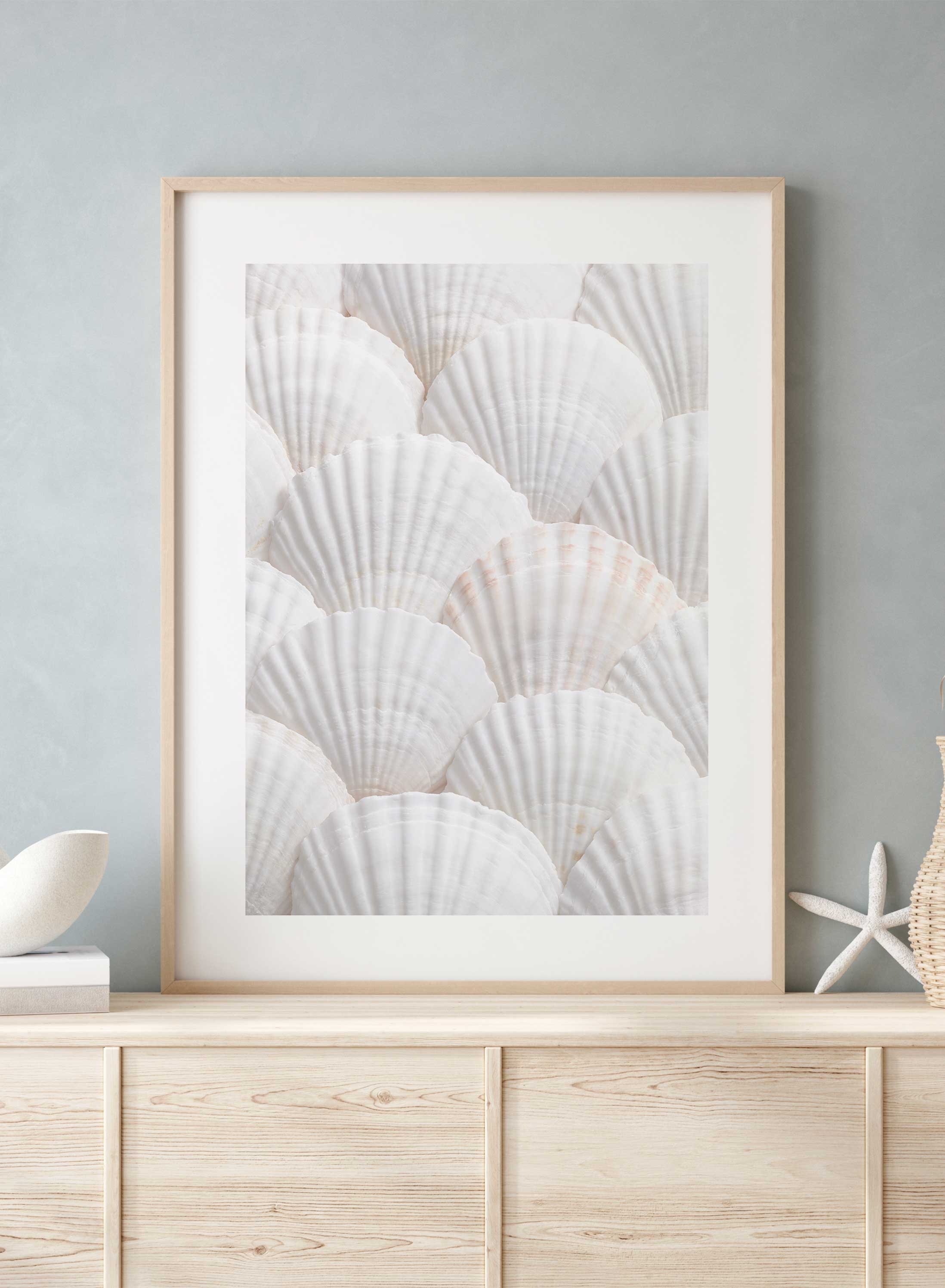Premium Seashell Collection - Natural Beach Shells for Home Decor, Coastal Theme Wall Art, Perfect for Bathroom, Bedroom & Living Room Decor