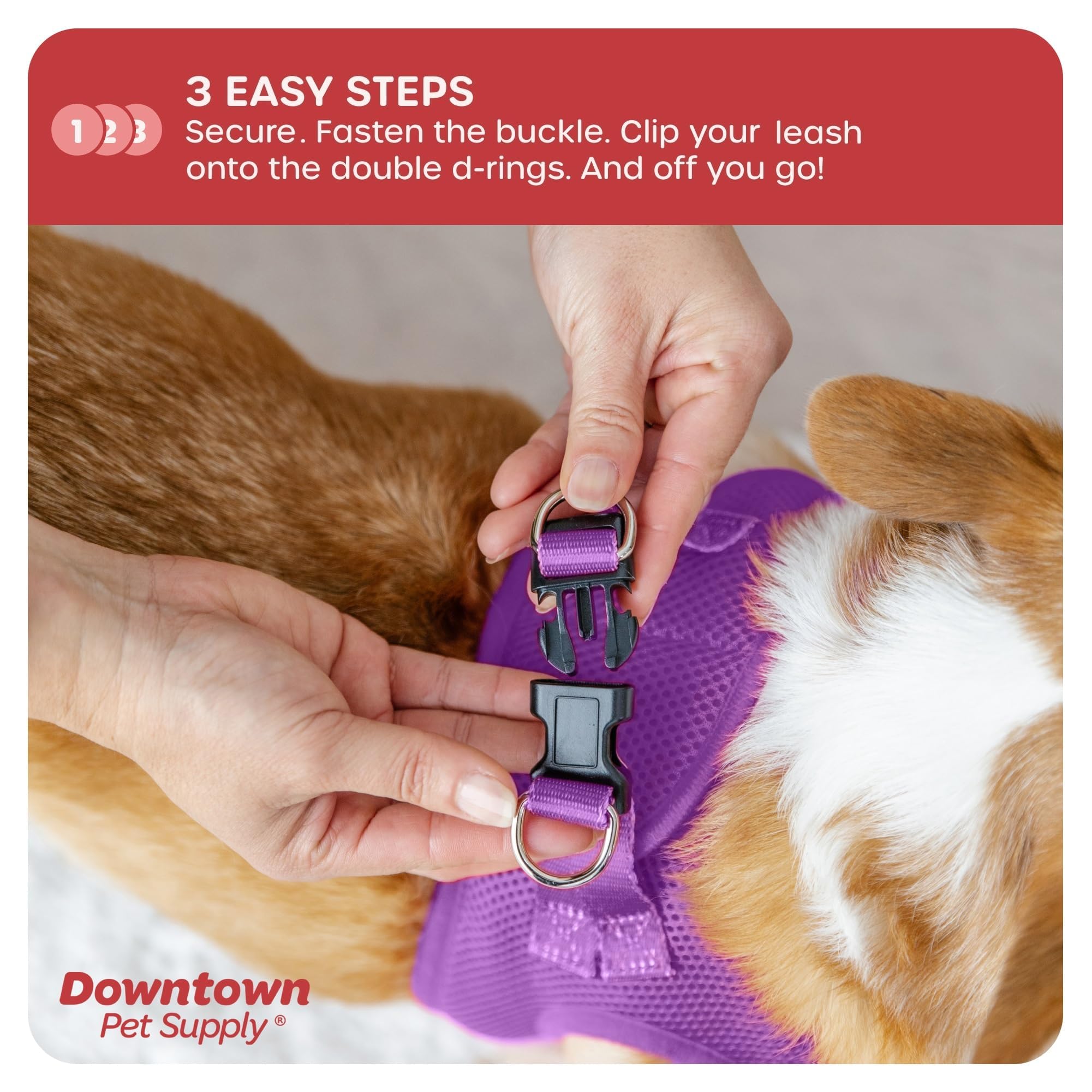 **Downtown Pet Supply No-Pull Step-in Dog Harness for Small Dogs - Adjustable Padded Mesh Harness with Reflective Trim - Purple Small Dog Harness for Walking, Training & Outdoor Adventures**