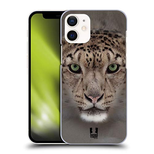 Snow Leopard