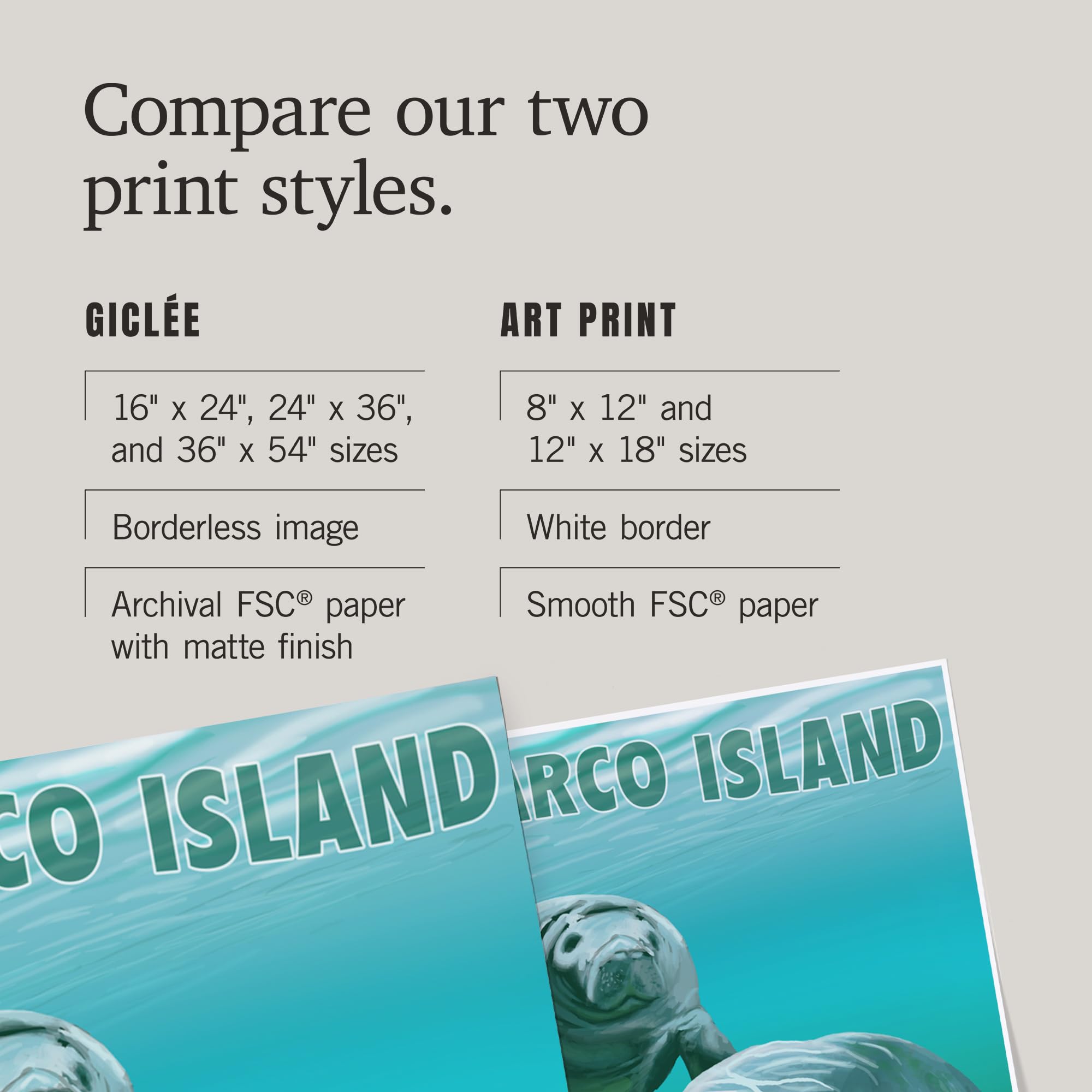 Lantern Press 36x54 Inch Giclee Art Print - Marco Island Manatees Wall Decor - Premium Canvas Painting for Living Room, Bedroom & Office