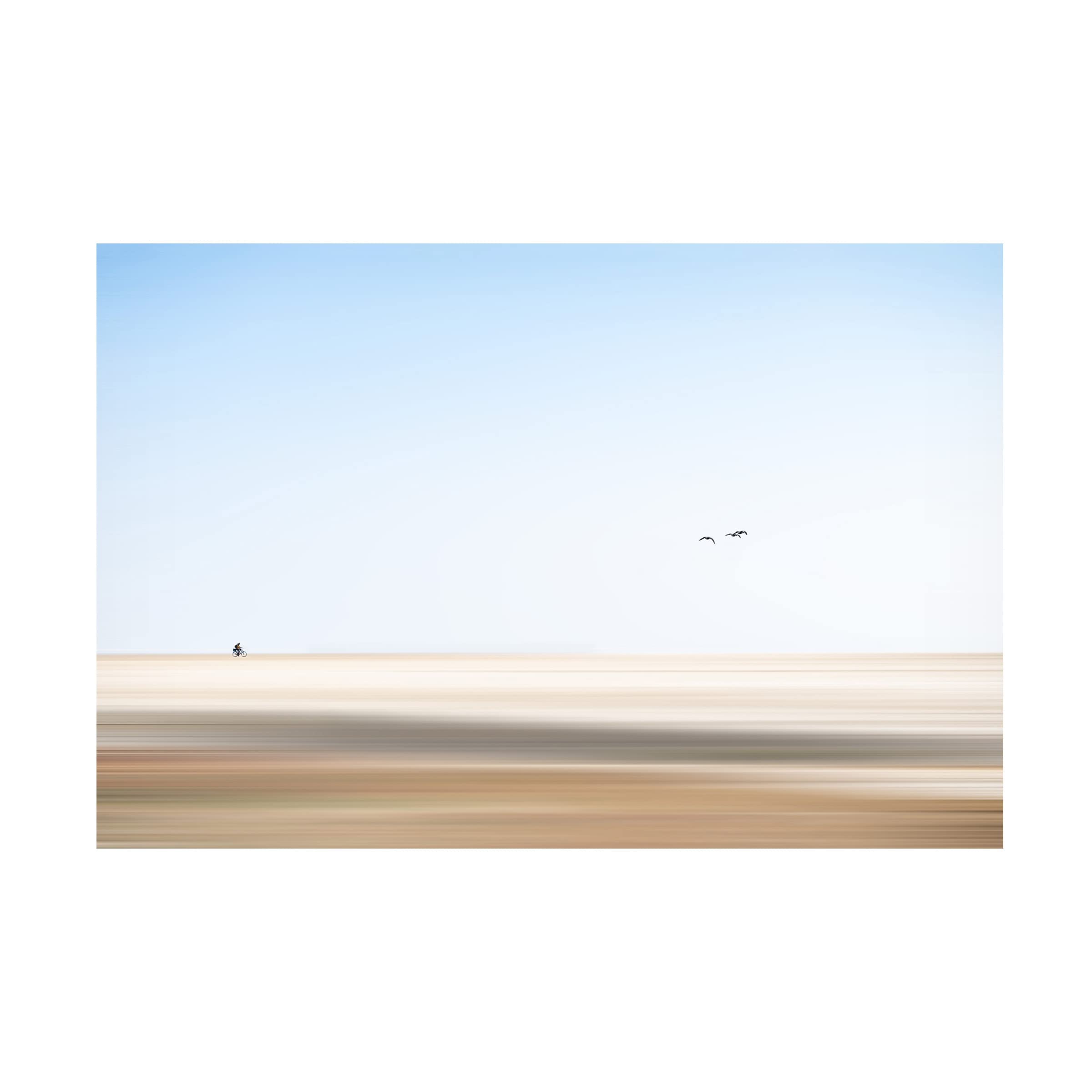 Trademark Fine Art 'Behind The Birds' Canvas Wall Art by Rolf Endermann - Modern Home Decor for Living Room, Bedroom & Office