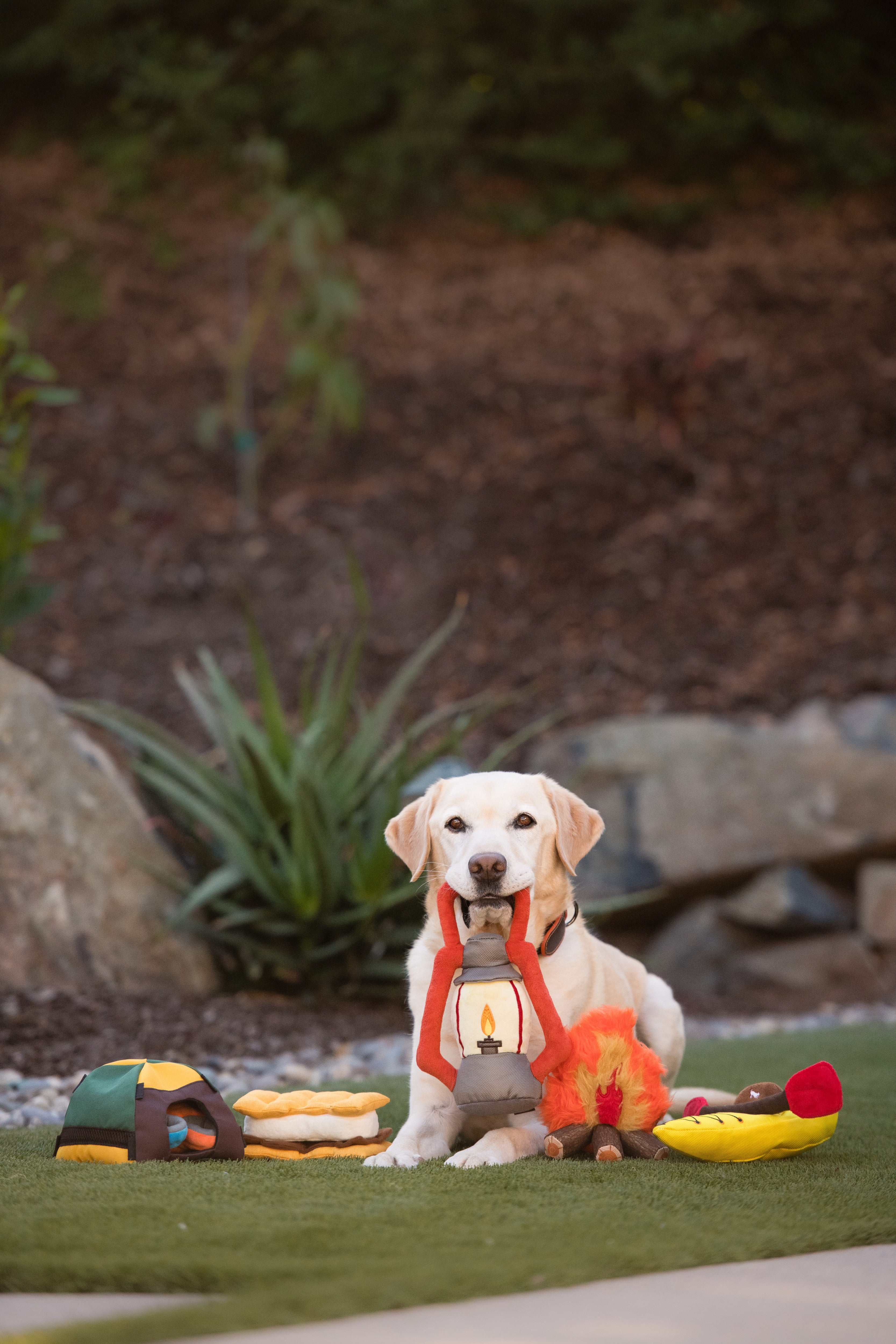 Camp Corbin™ Dog Plush Toy with Flashlight - Interactive Chew Toy for Small & Large Dogs - Perfect for Playtime, Training & Outdoor Adventures