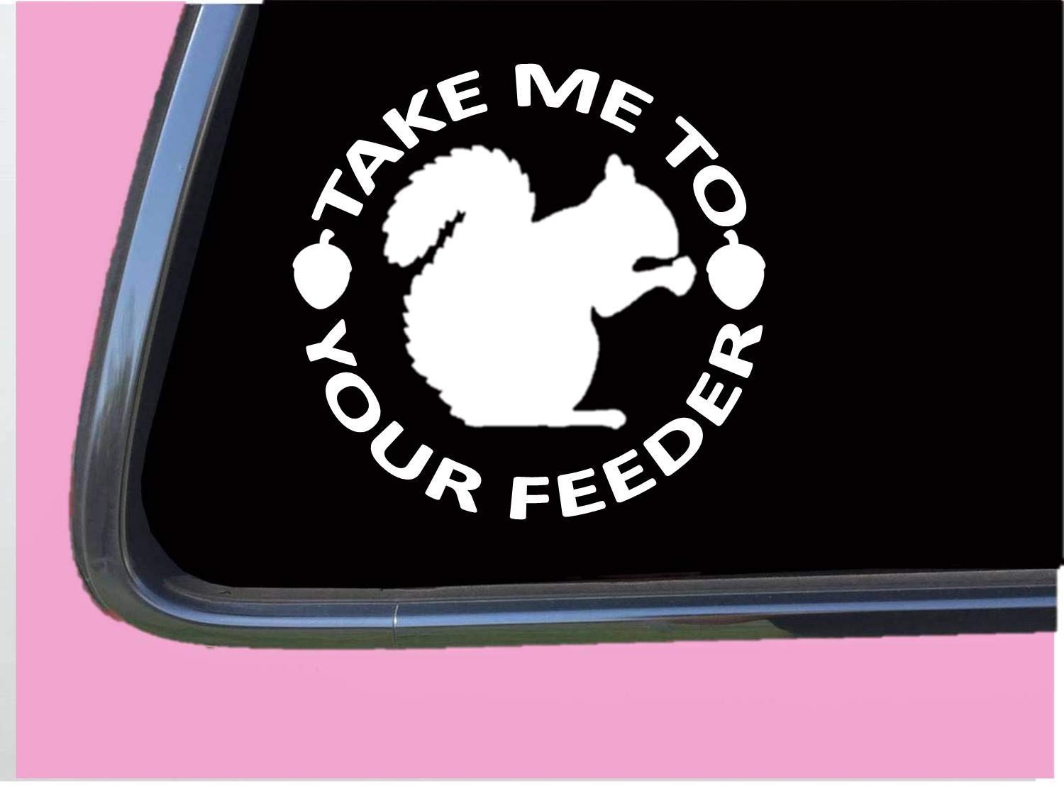 Squirrel Feeder Vinyl Decal Sticker - 6