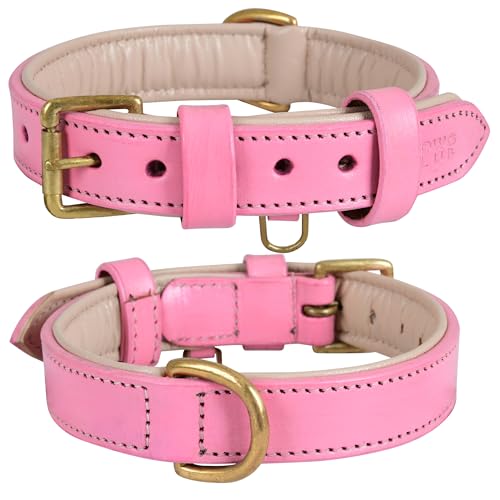 Blush Pink