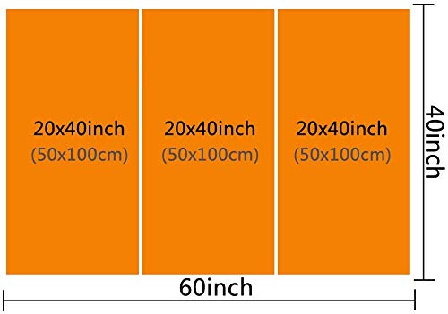 Stunning 3-Piece Chinese Ink Koi Peonies Canvas Wall Art - 60