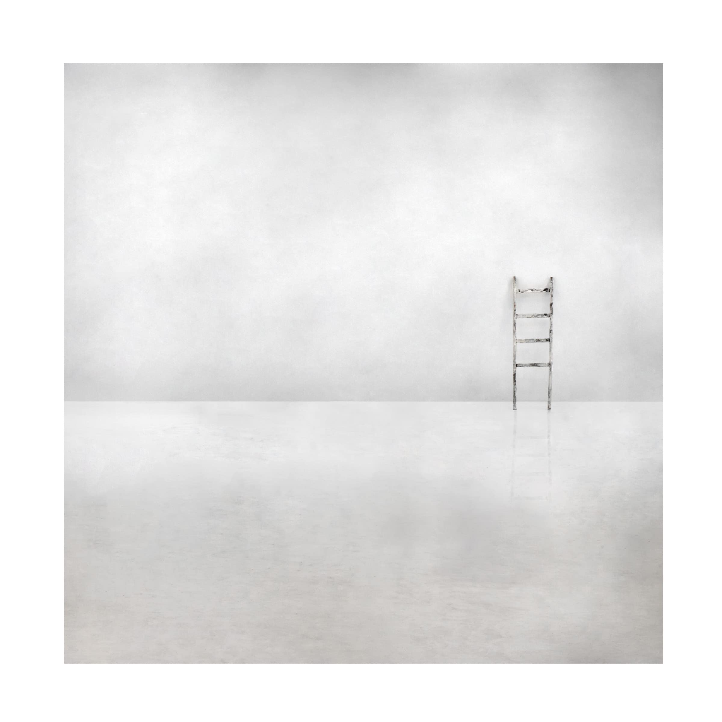 Trademark Fine Art 'The Social Ladder' Canvas Wall Art by Gilbert Claes - Modern Abstract Painting for Living Room, Office & Home Decor