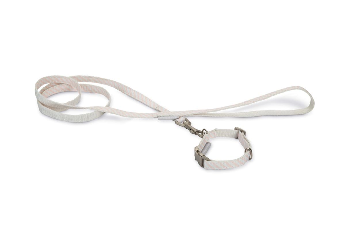 Premium Puppy Collar and Leash Set - Adjustable Nylon Dog Collar with Matching Leash for Small Dogs - Perfect for Training, Walks, and Outdoor Adventures