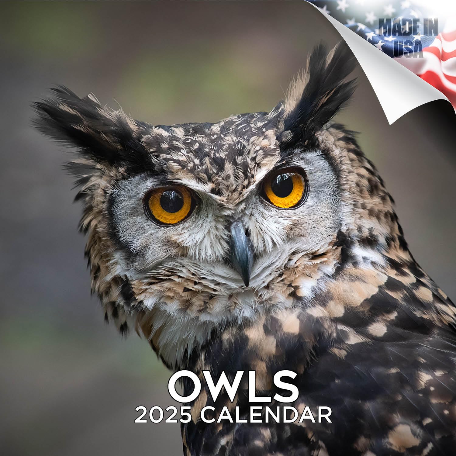 2024-2025 Owls & Wildlife Wall Calendar - 12