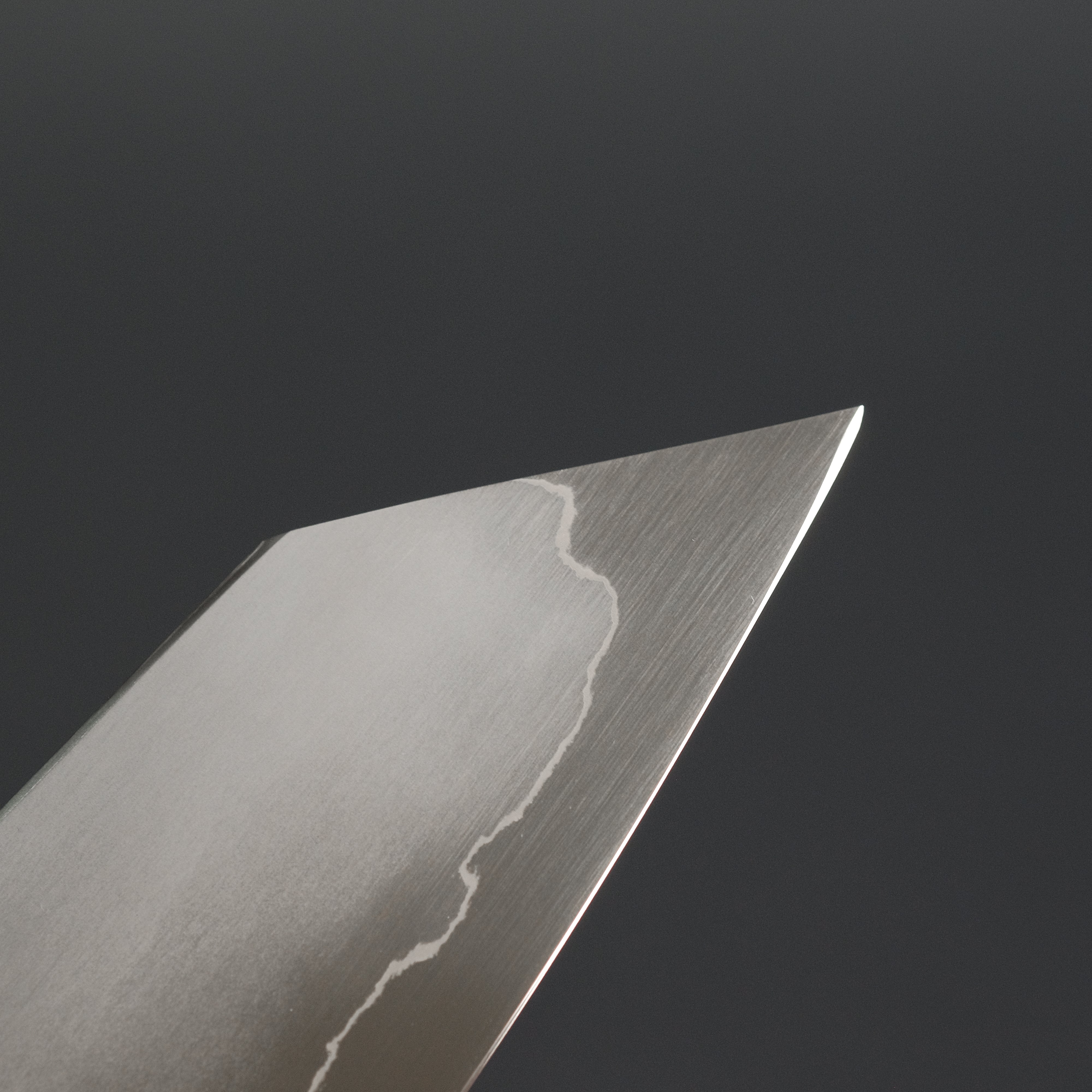Premium Tetsujin Silver #3 Kasumi Kiritsuke Gyuto 210mm Japanese Chef Knife with Yakusugi Cedar Handle - Perfect for Sushi, Sashimi & Precision Vegetable Cutting