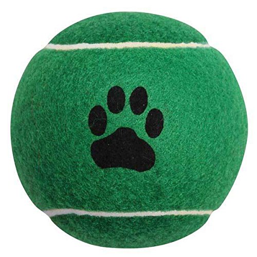 Durable 2.5 Inch Dog Tennis Balls - Colorful Chew Toys for Pets (10 Pack) | Great for Fetch, Training & Outdoor Play