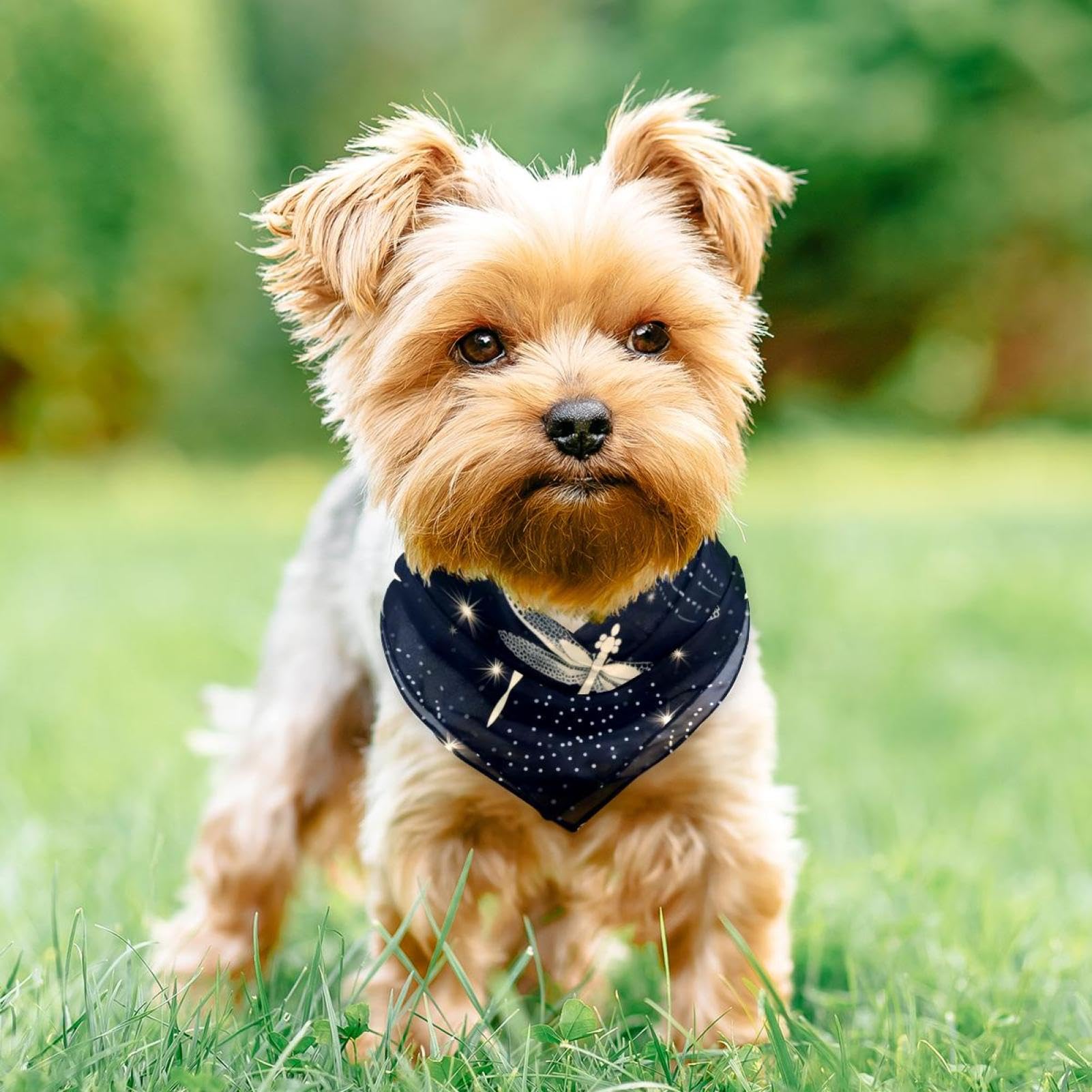 2-Piece Abstract Dragonfly Dog Bandanas - Stylish Pet Scarves & Square Bibs for Weddings, Photo Props & Daily Wear