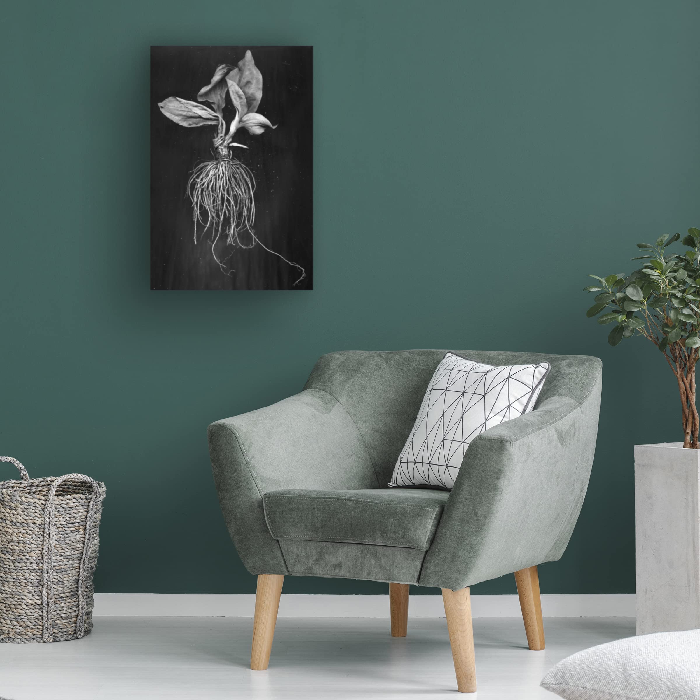Trademark Fine Art 'Plantain' Canvas Wall Art by Brig Barkow - Modern Botanical Painting for Living Room, Bedroom & Office Decor