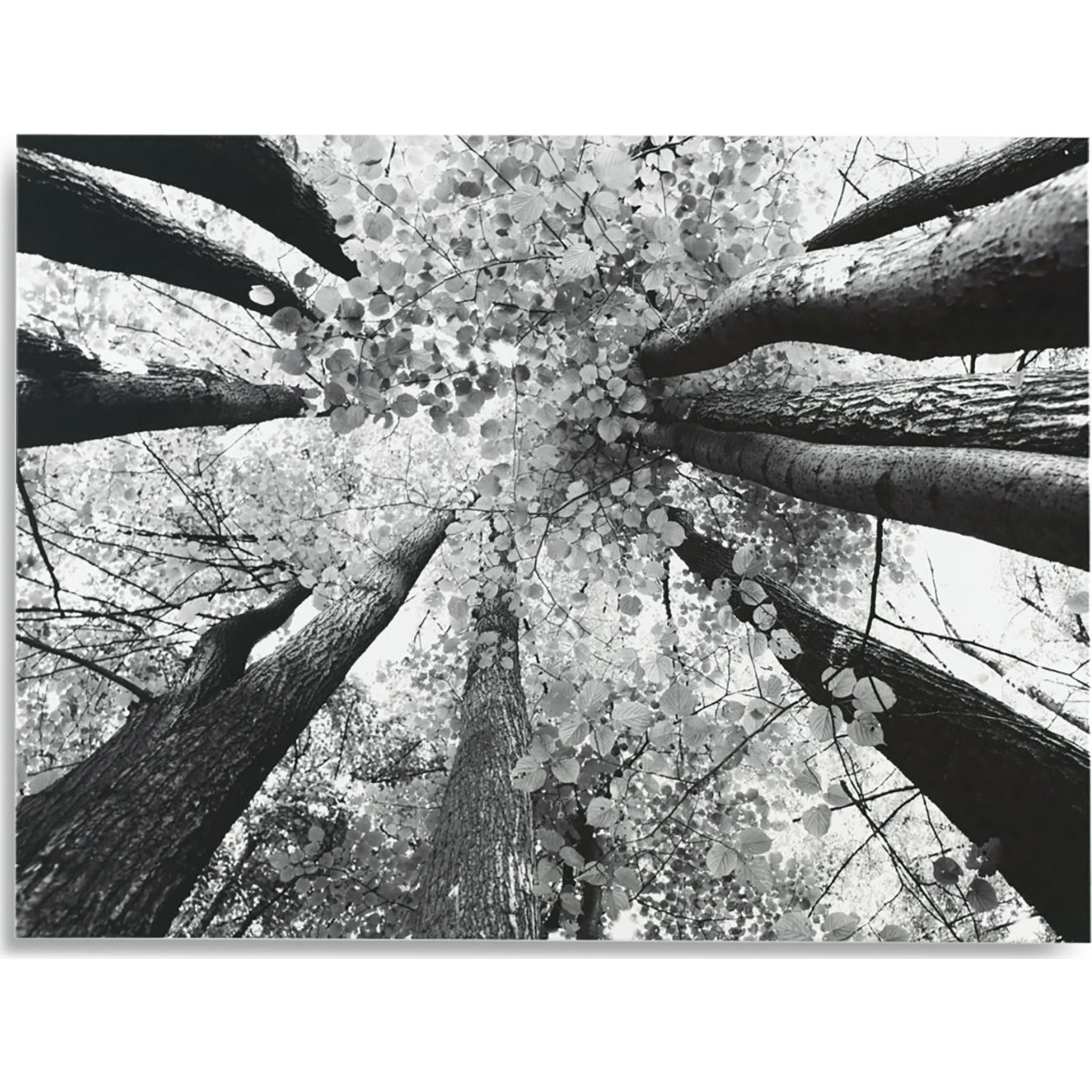 Ananya Wall Art Canvas Print - 48x36 Inches Modern Home Decor for Living Room, Bedroom & Office | Large Framed Artwork for Stylish Interior Design