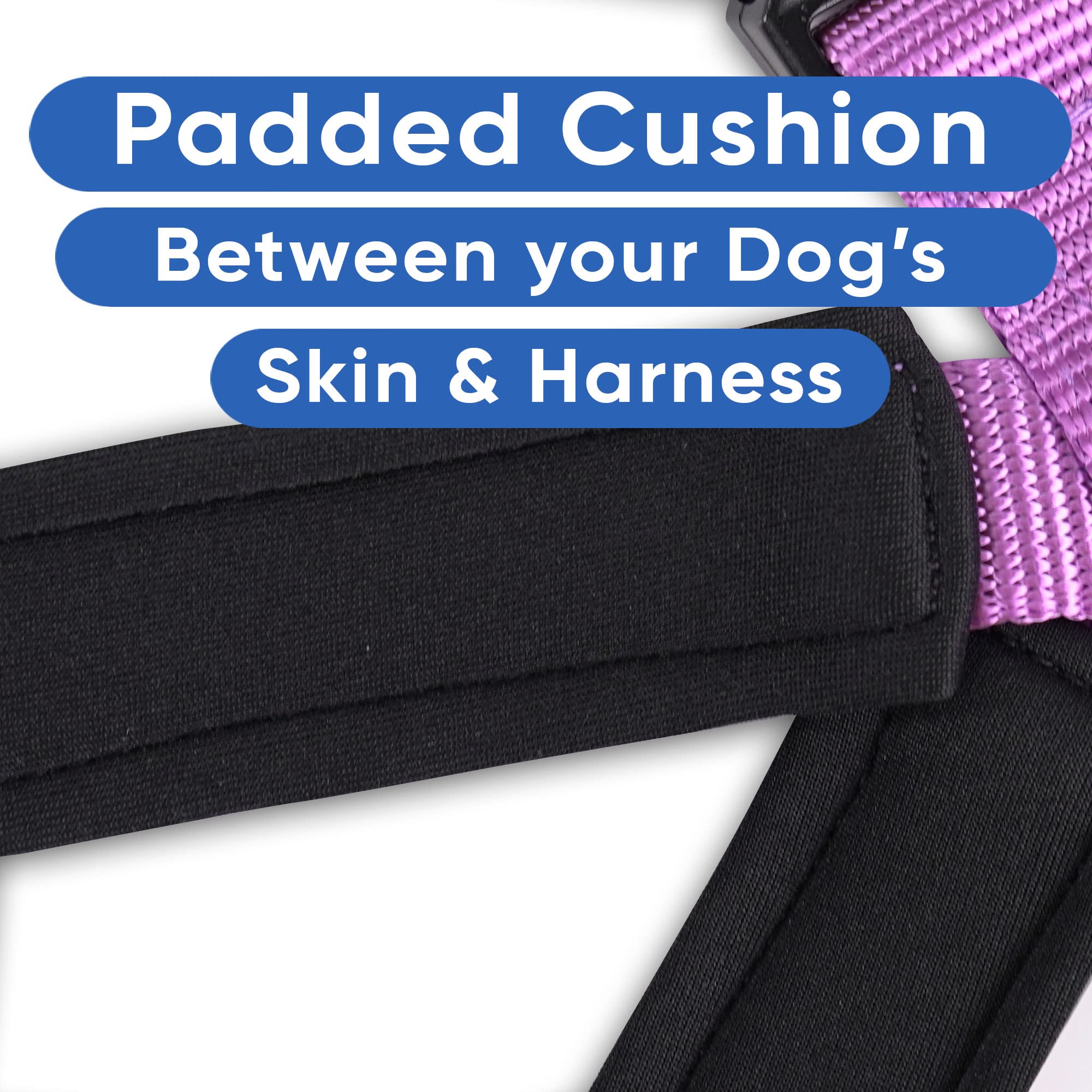 **Pawtitas Reflective Padded Dog Harness for Comfort & Control - Medium (M) Orchid Pet Vest - Ideal for Walking, Running & Nighttime Safety**