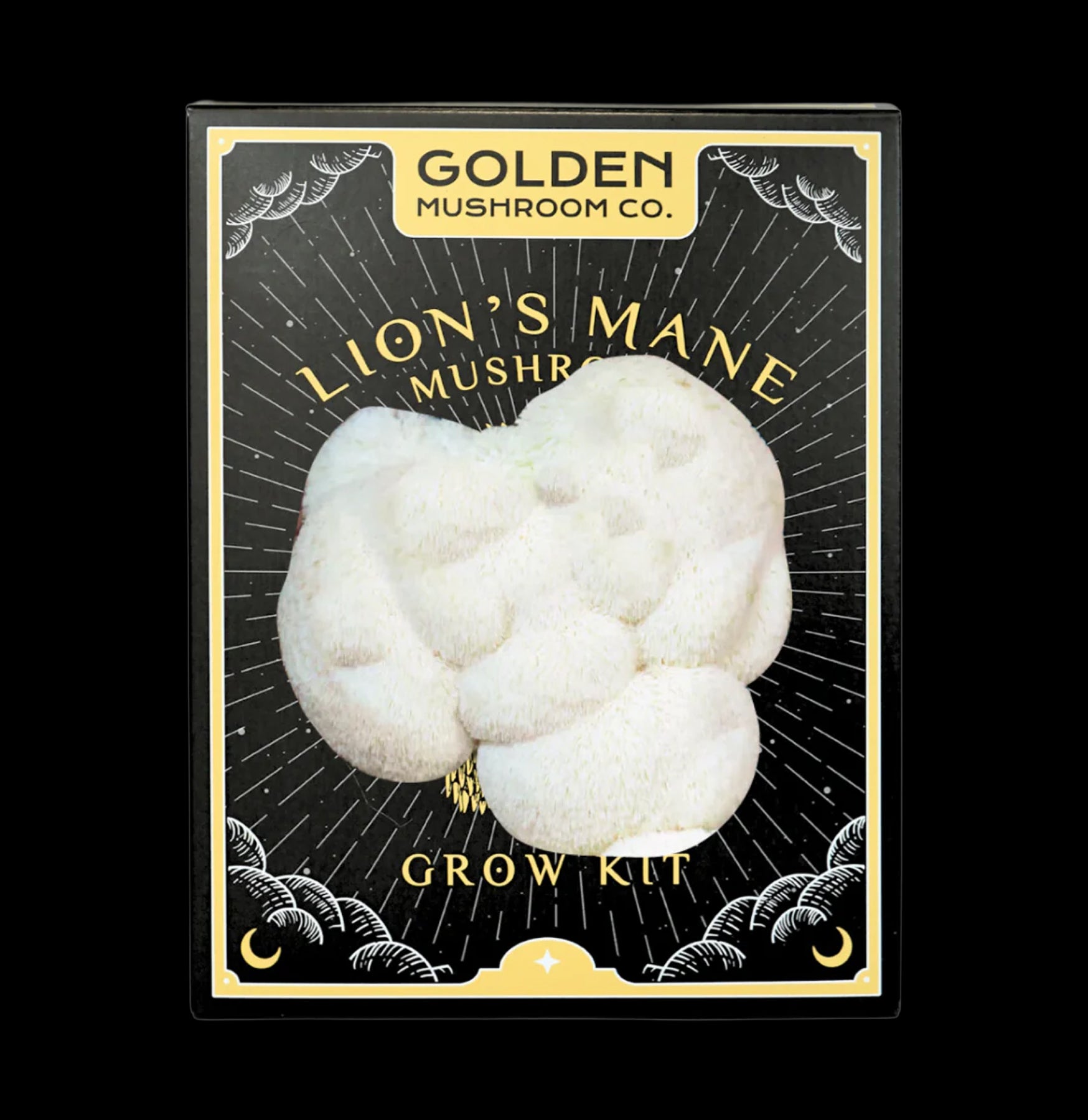 Organic Mushroom Grow Kit - Easy Home Mushroom Cultivation for Oyster, Shiitake & More - Perfect for Indoor Gardening, Cooking & Sustainable Living