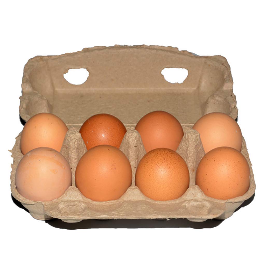 DOITOOL 20PCS 6-Count Egg Cartons for Chicken Eggs - Natural Pulp Egg Crates for Farmers Market, Half Dozen Egg Storage Containers - Perfect for Fresh Farm Eggs, Farmers Markets & Home Kitchen Use
