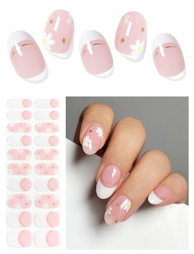 Pink Daisy