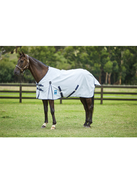 Weatherbeeta Kool Coat Classic Standard Neck Horse Cooling Sheet - Breathable Mesh Fly Sheet for Hot Weather Riding & Turnout