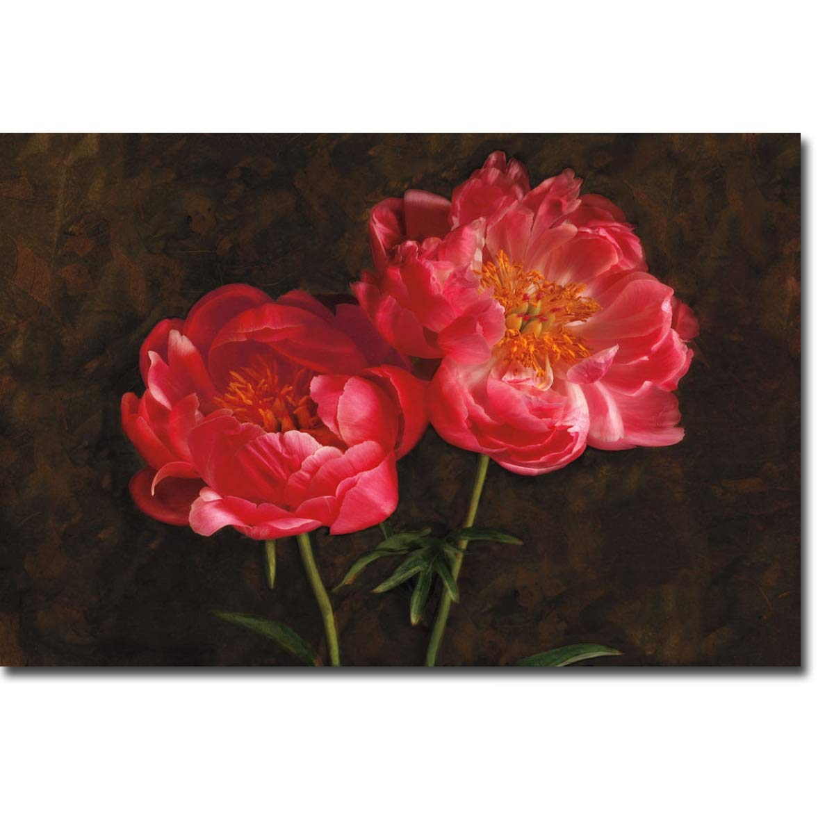 Romance by Janel Pahl - Premium Gallery-Wrapped Canvas Giclee Art Print - 24x36 Inches, Ready to Hang Wall Decor - Perfect for Living Room, Bedroom & Office