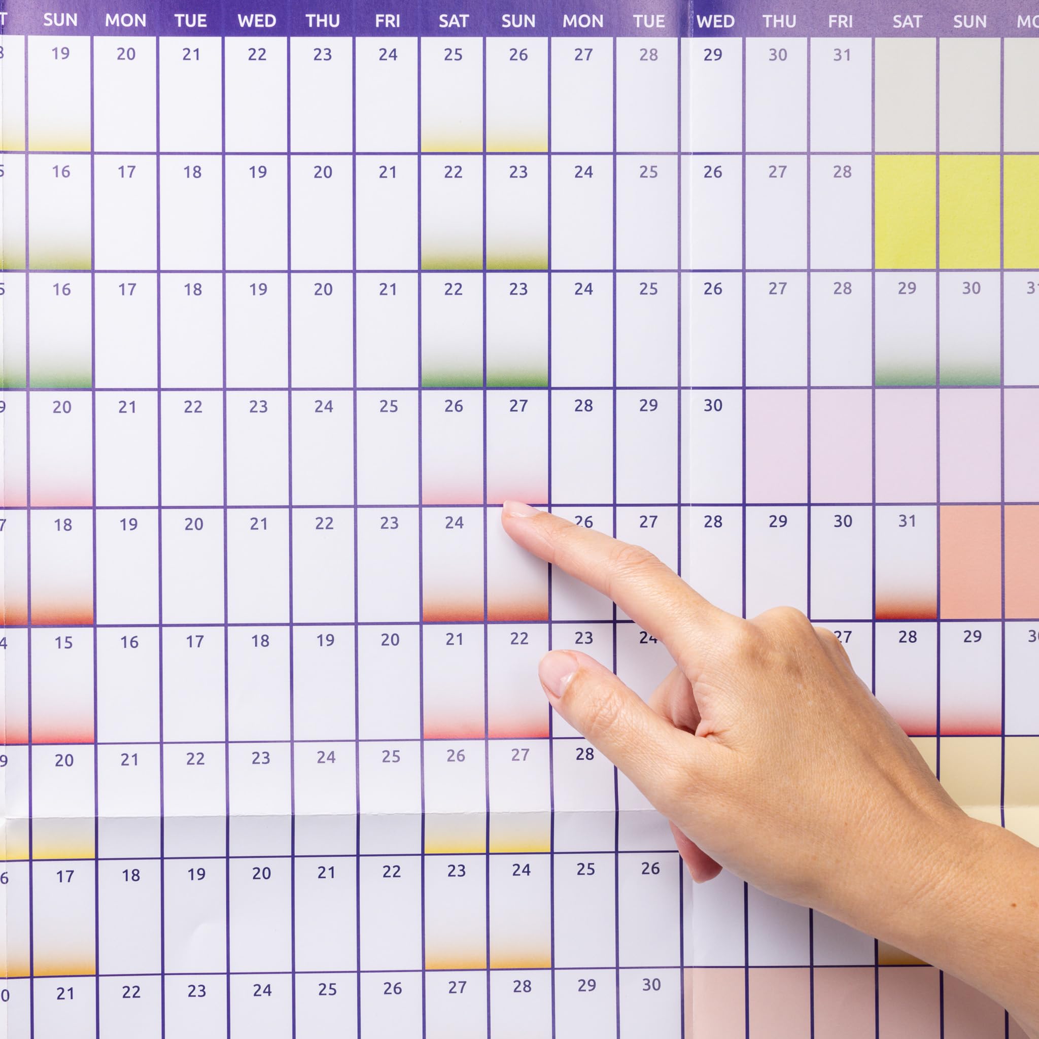 Evelay 2025 Wall Calendar Planner - Large A1 Size (84cm x 59cm) - Full Year at a Glance - Perfect for Home, Office & School Organization - Wall Decor & Productivity Tool