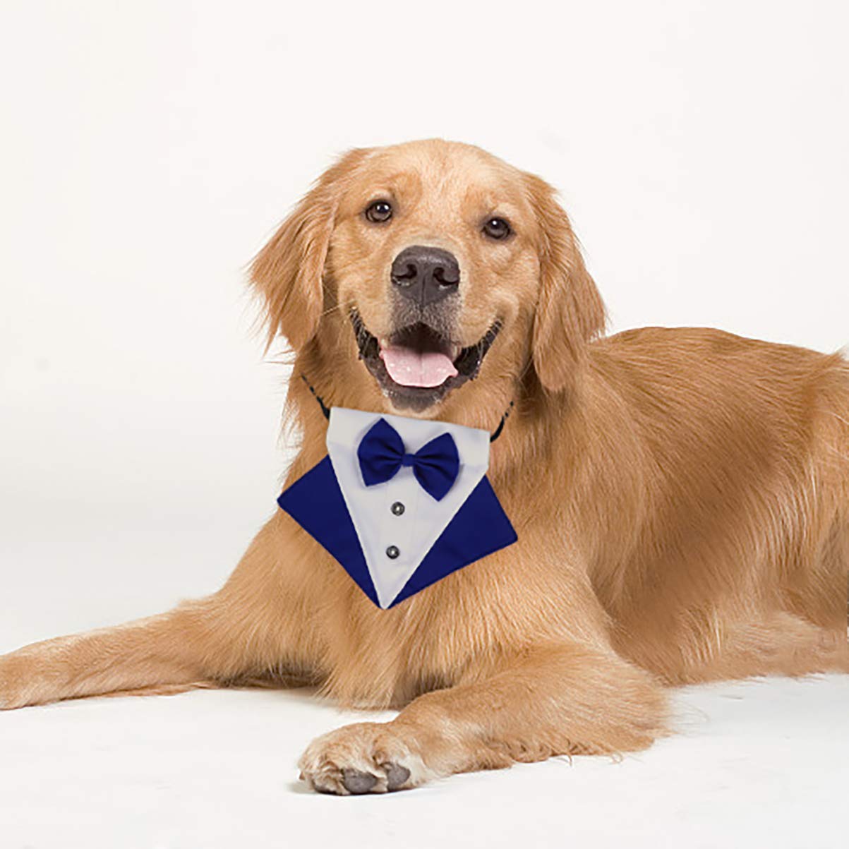 POPETPOP Pet Bow Tie & Tuxedo Collar Set - Dog Wedding Costume Accessory