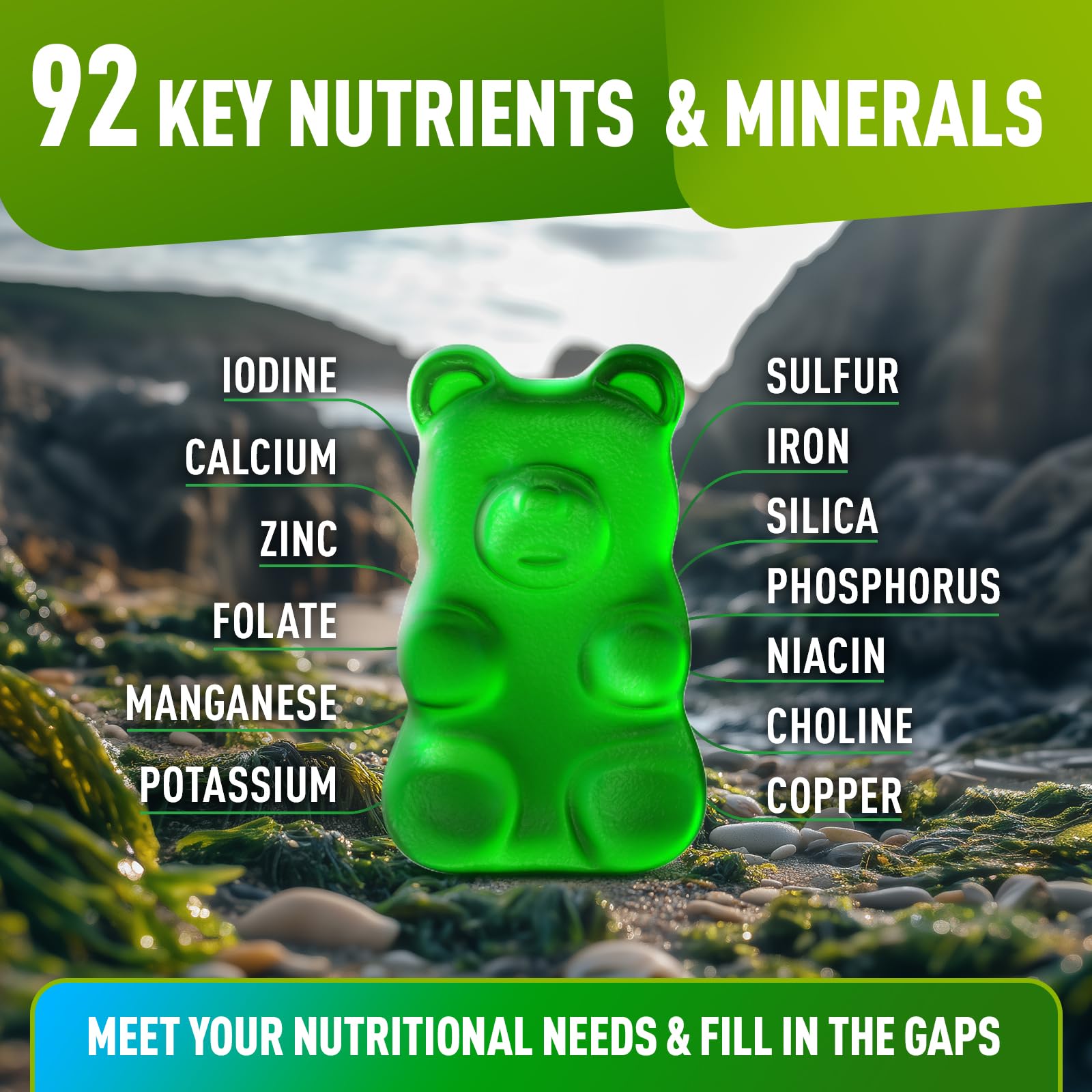 Organic Sea Moss Gummies for Adults & Kids - Wildcrafted Irish Sea Moss with Bladderwrack & Burdock Root - 60 Vegan Gummy Supplements for Immune Support & Digestion - Perfect for Daily Wellness & Family Health
