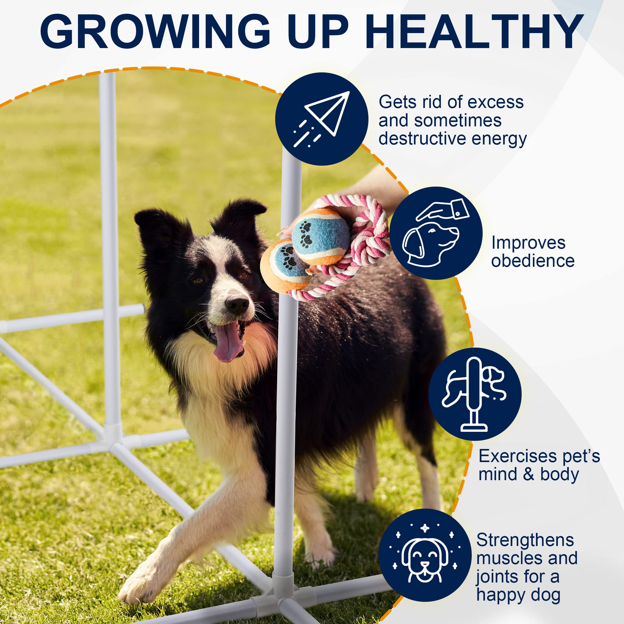 Premium Dog Agility Training Equipment Set - Adjustable Obstacle Course for Small & Large Dogs | Professional Puppy Training Tools for Backyard, Park & Competition Use | Fun Exercise & Agility Practice for Pets